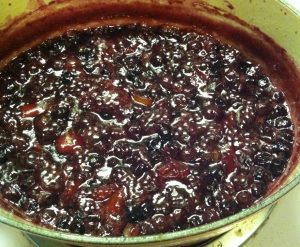 Blueberry Ginger Orange Lime Marmalade