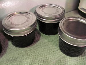 Blueberry Maple Pecan Conserve