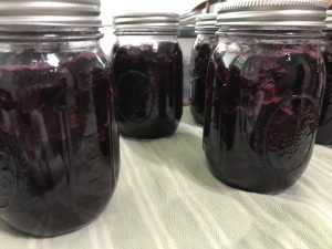 Blueberry Pie Filling