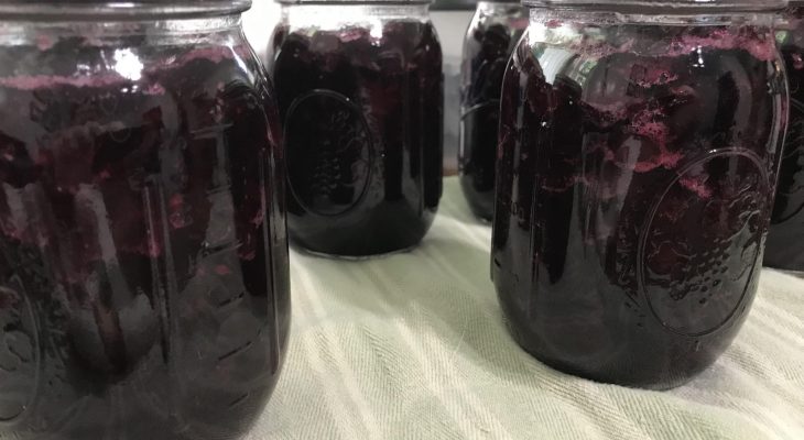 Blueberry Pie Filling