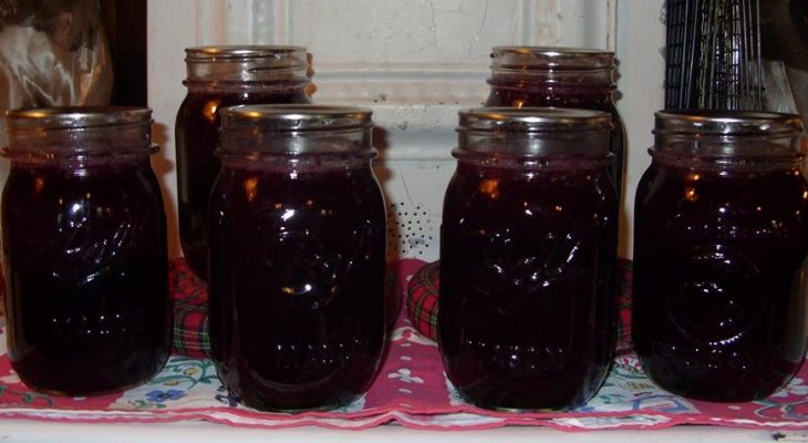 Blueberry Sauce