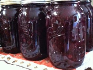 Blueberry Pie Filling