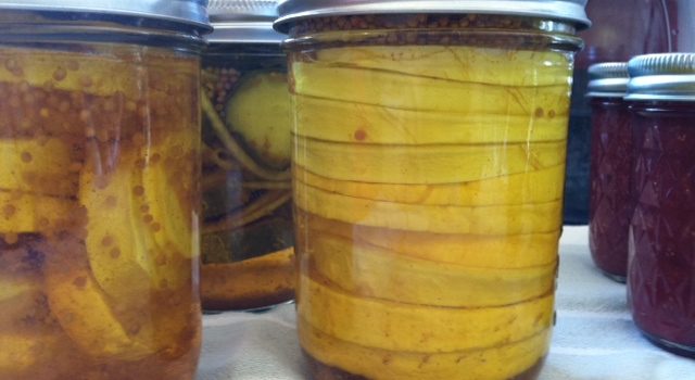 Bread & Butter Squash Pickles