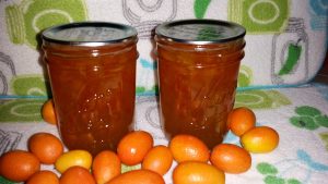 Candied Kumquats