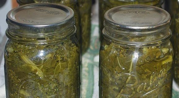 Canning Collards, Kale, and Chard