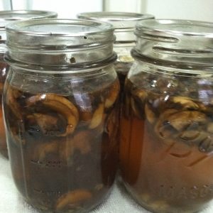 Canning Mushroom Soup Base