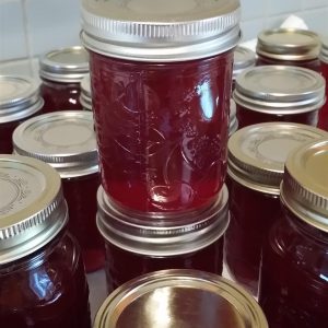 Cranapple Cinnamon jam