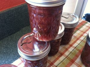 Cranberry Chutney