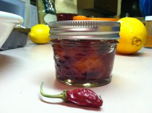 Cranberry Mango Chutney