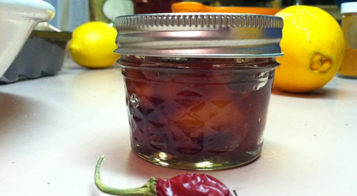 Cranberry Mango Chutney