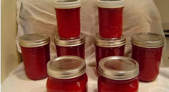 Cranberry Sauce –Jellied