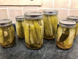 Dill Pickles