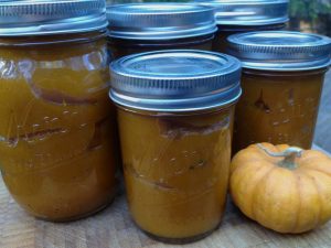 Faux Pumpkin Butter