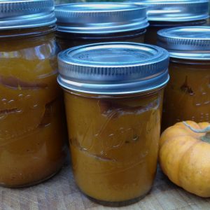 Faux Pumpkin Butter