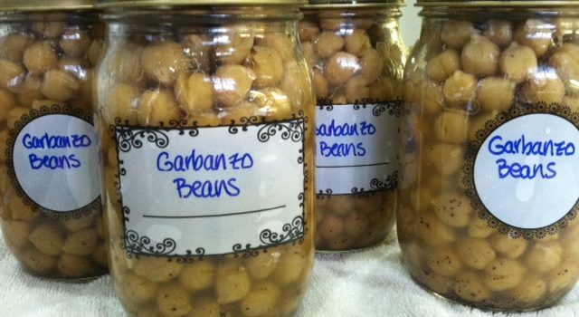 Garbanzo beans for Hummus