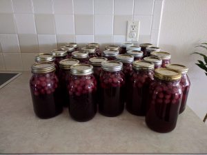 Grape Juice in a Jar