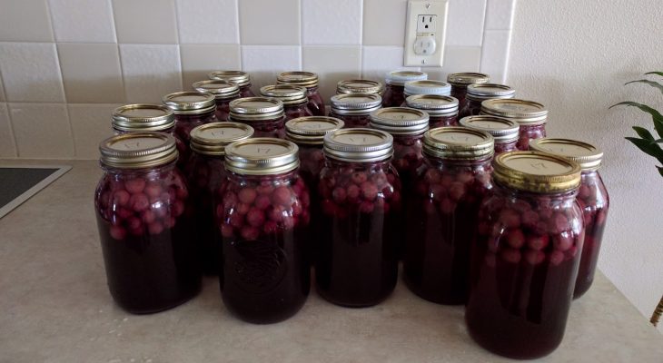 Grape Juice in a Jar