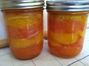 Grapefruit & Orange Sections in water