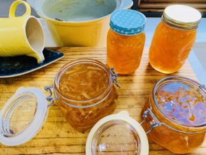 Grapefruit & Orange Sections in water