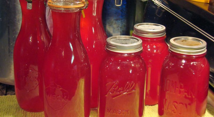 Homemade Canned Cranberry Juice