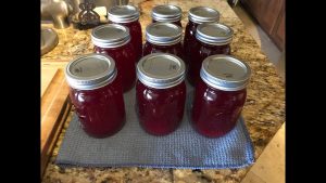 Homemade Canned Cranberry Juice