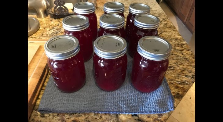 Homemade Canned Cranberry Juice