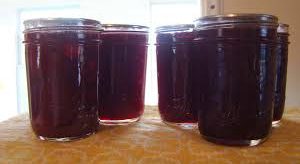 Homemade Canned Cranberry Juice