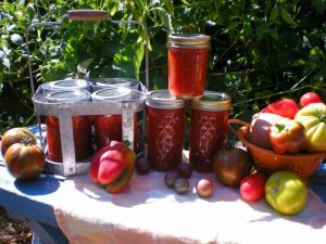 Homemade Ketchup