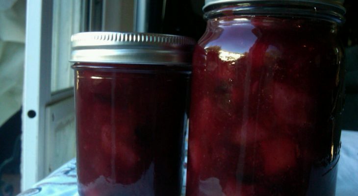 Cranberry Apple Pear Relish