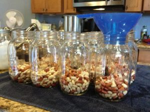 In hot sterilized jars, start with 1-2 inches of beans that have been soaked and drained