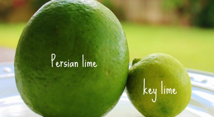 Key Lime