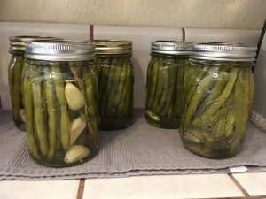 Lemon-and-Bay Leaf Bean Pickles