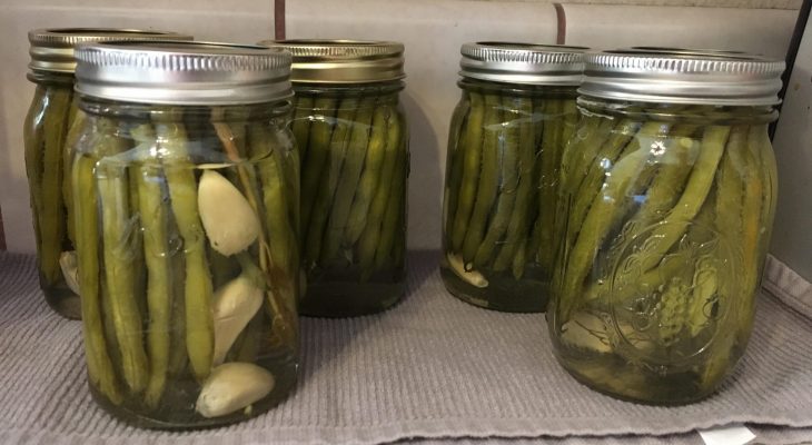 Lemon-and-Bay Leaf Bean Pickles