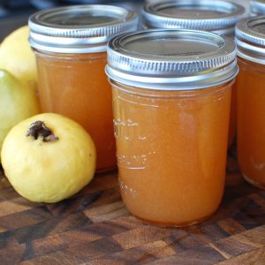 Mexican Guava Jam