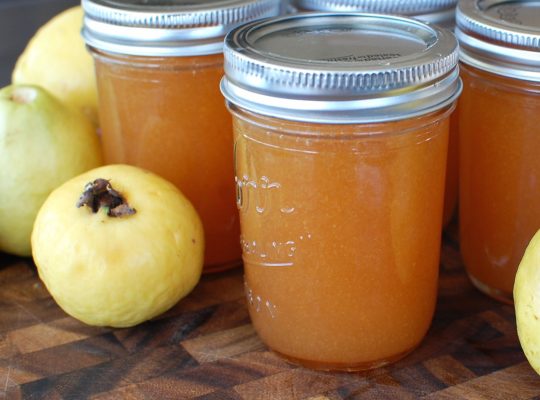 Guava Jam – A new variety – at least to me!