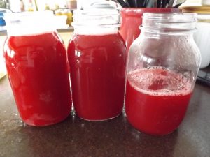 Peach Raspberry Lemonade Concentrate