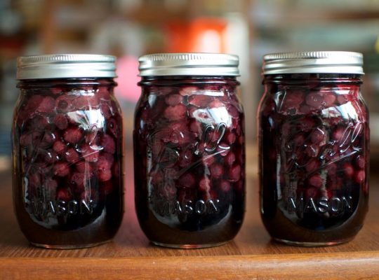 Pickled Blueberries – A tasty surprise