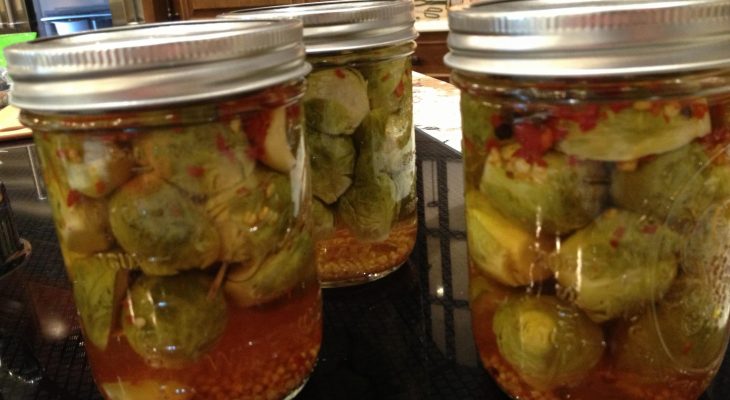 Pickled Brussel Sprouts