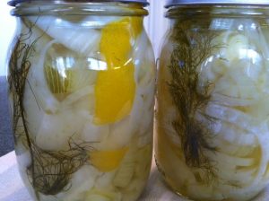 Pickled Fennel