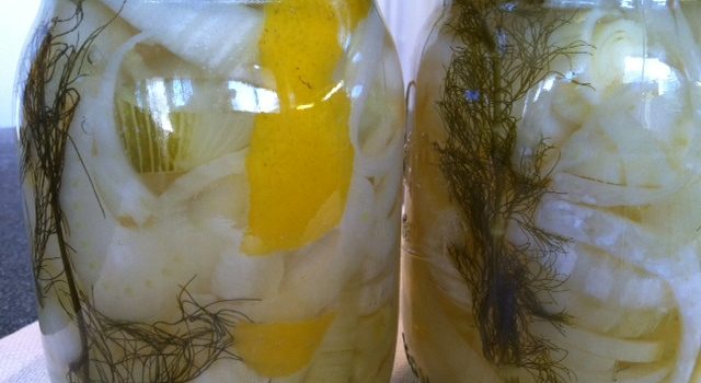 Pickled Fennel