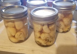 Pickled Garlic