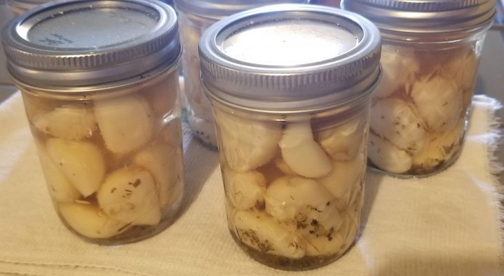 Pickled Garlic