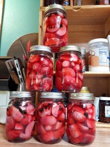 Canning Honey Pickled Radishes and Radish Relish