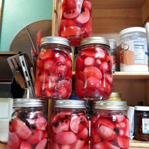 Pickled Honey Radishes