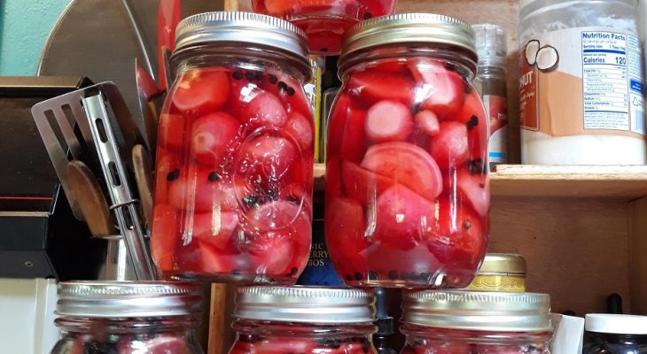 Pickled Honey Radishes