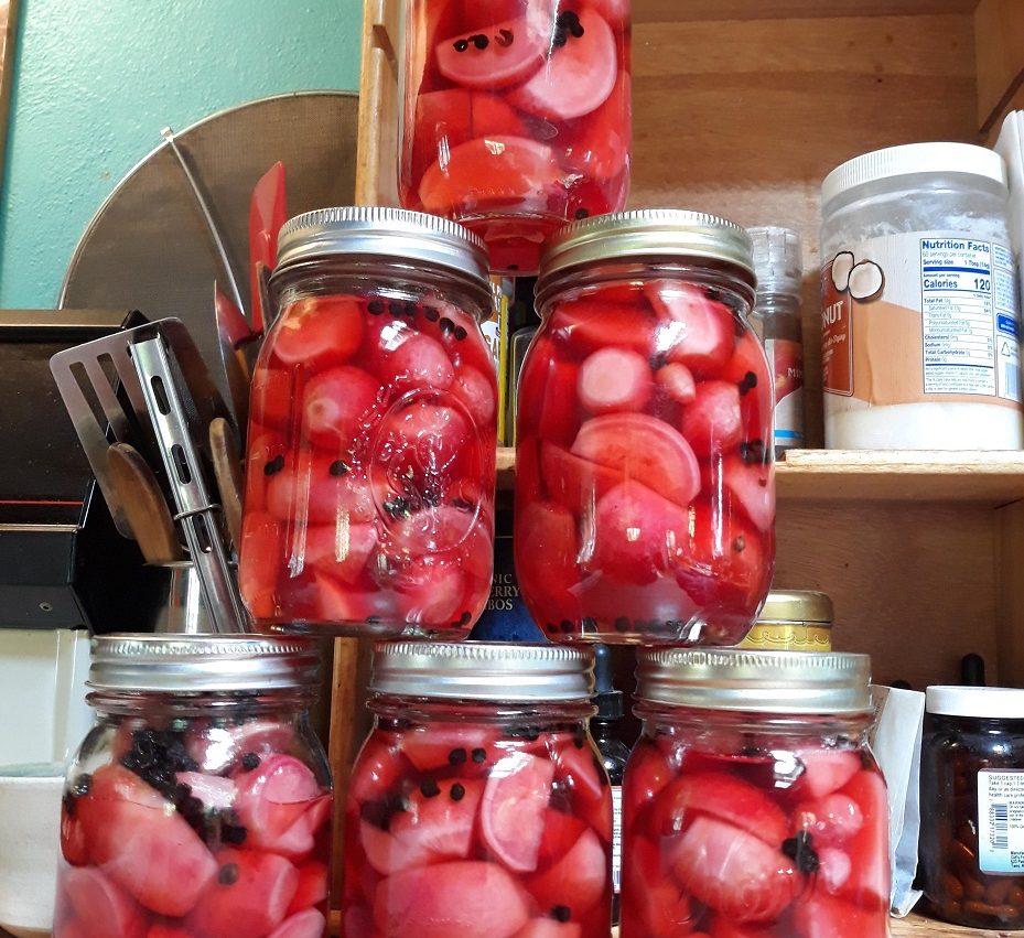 Canning Honey Pickled Radishes and Radish Relish