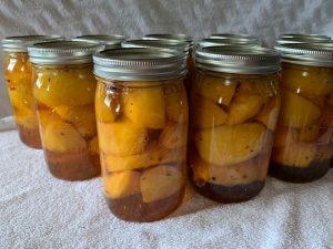 Pickled Peaches