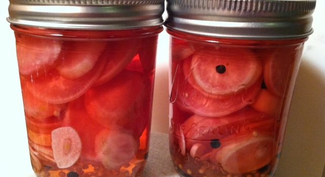 Pickled Radishes