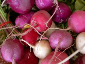 Pickled Radishes