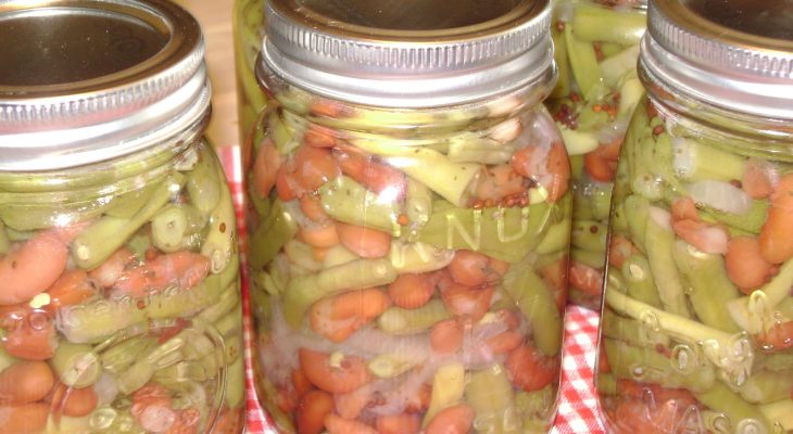 Pickled Three-Bean Salad